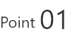 Point 01